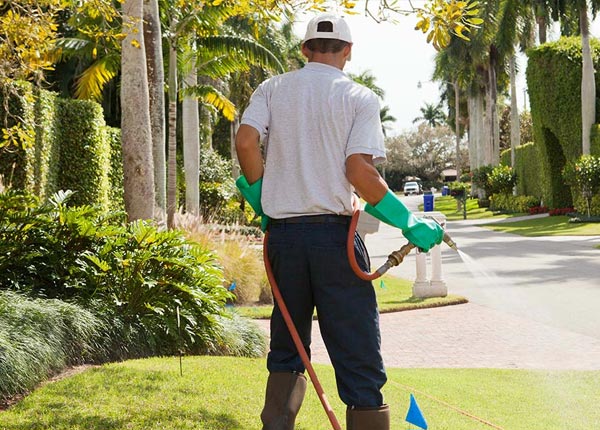 About Billingsley AL Pest Control